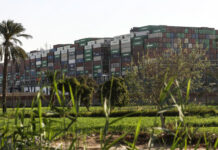 Россия не получала обращений по поводу Суэцкого канала