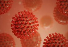 Опровергнута связь коронавируса с погодой