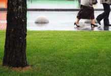 Под конец весны москвичам предрекли осадки