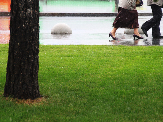 Под конец весны москвичам предрекли осадки