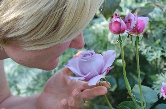 Потерю обоняния при COVID-19 объяснили разрушением мозга