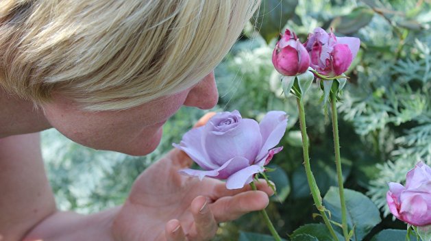 Потерю обоняния при COVID-19 объяснили разрушением мозга