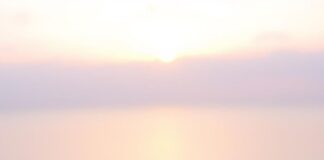 Виртуальный номер Украины: преимущества и особенности